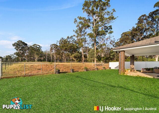 142 Fox Valley Road DENHAM COURT NSW 2565
