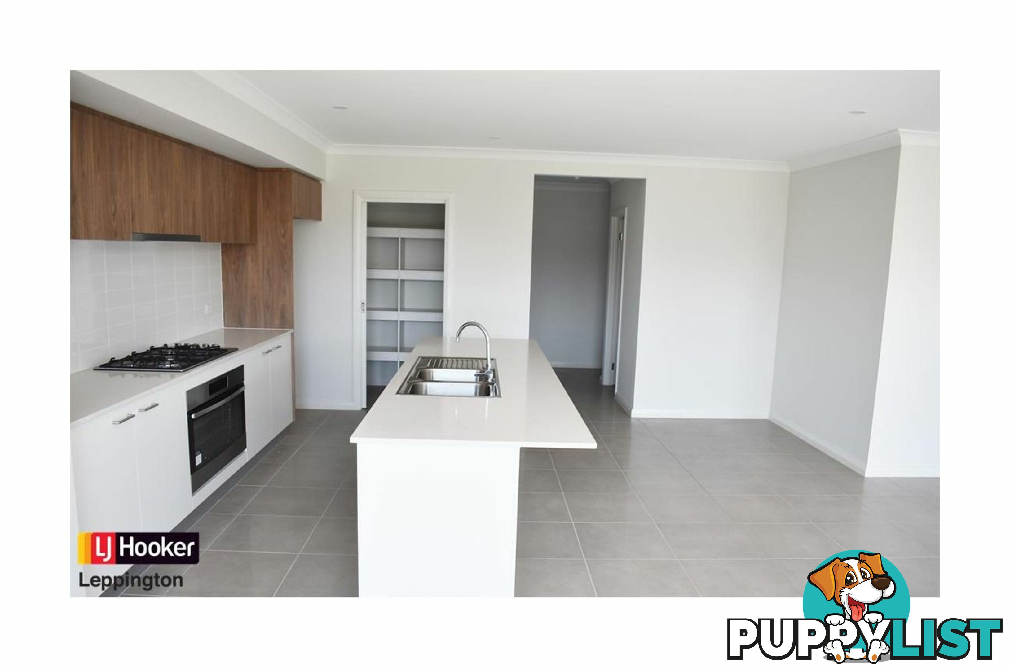 17 Wollohan Avenue DENHAM COURT NSW 2565