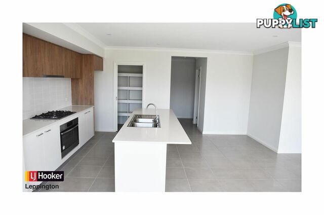 17 Wollohan Avenue DENHAM COURT NSW 2565