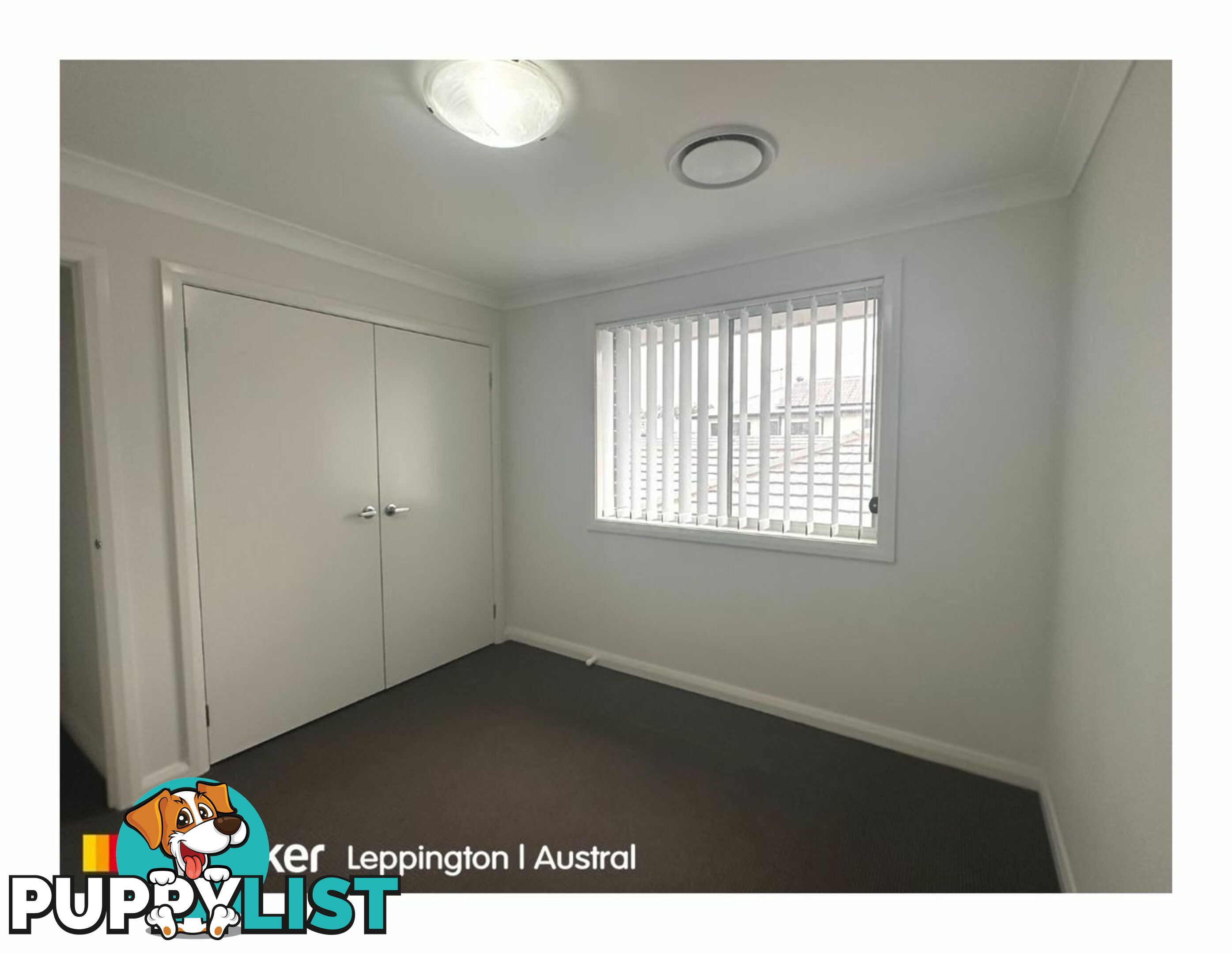 17 Wollohan Avenue DENHAM COURT NSW 2565