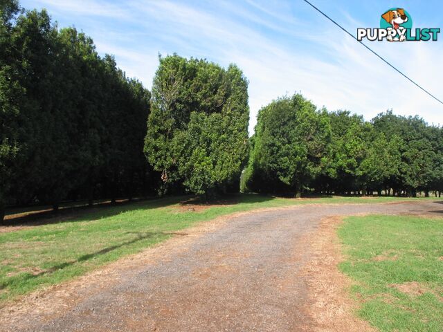 Lot 2./1147 Bruxner Highway WOLLONGBAR NSW 2477