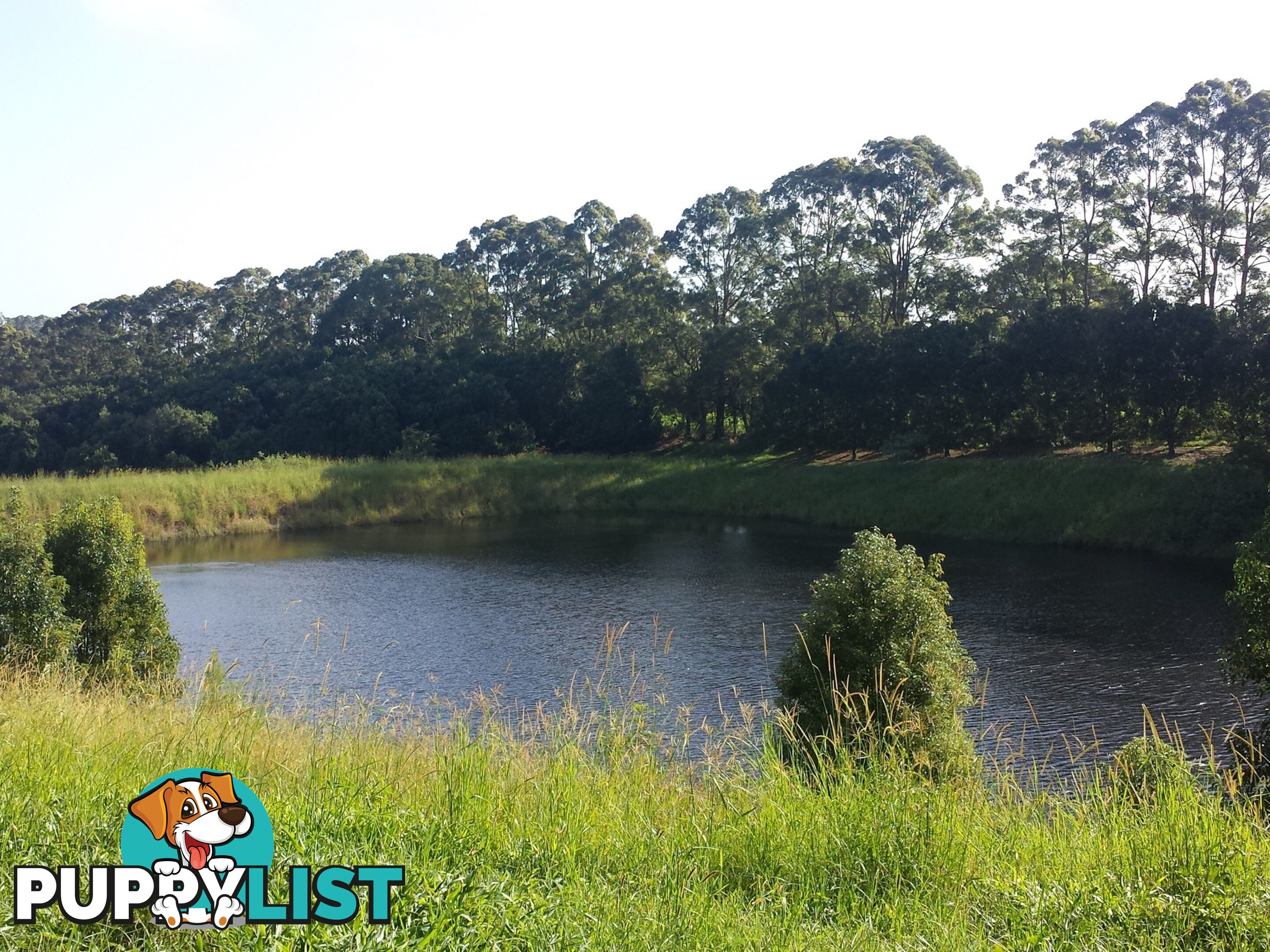 Lot 2./1147 Bruxner Highway WOLLONGBAR NSW 2477