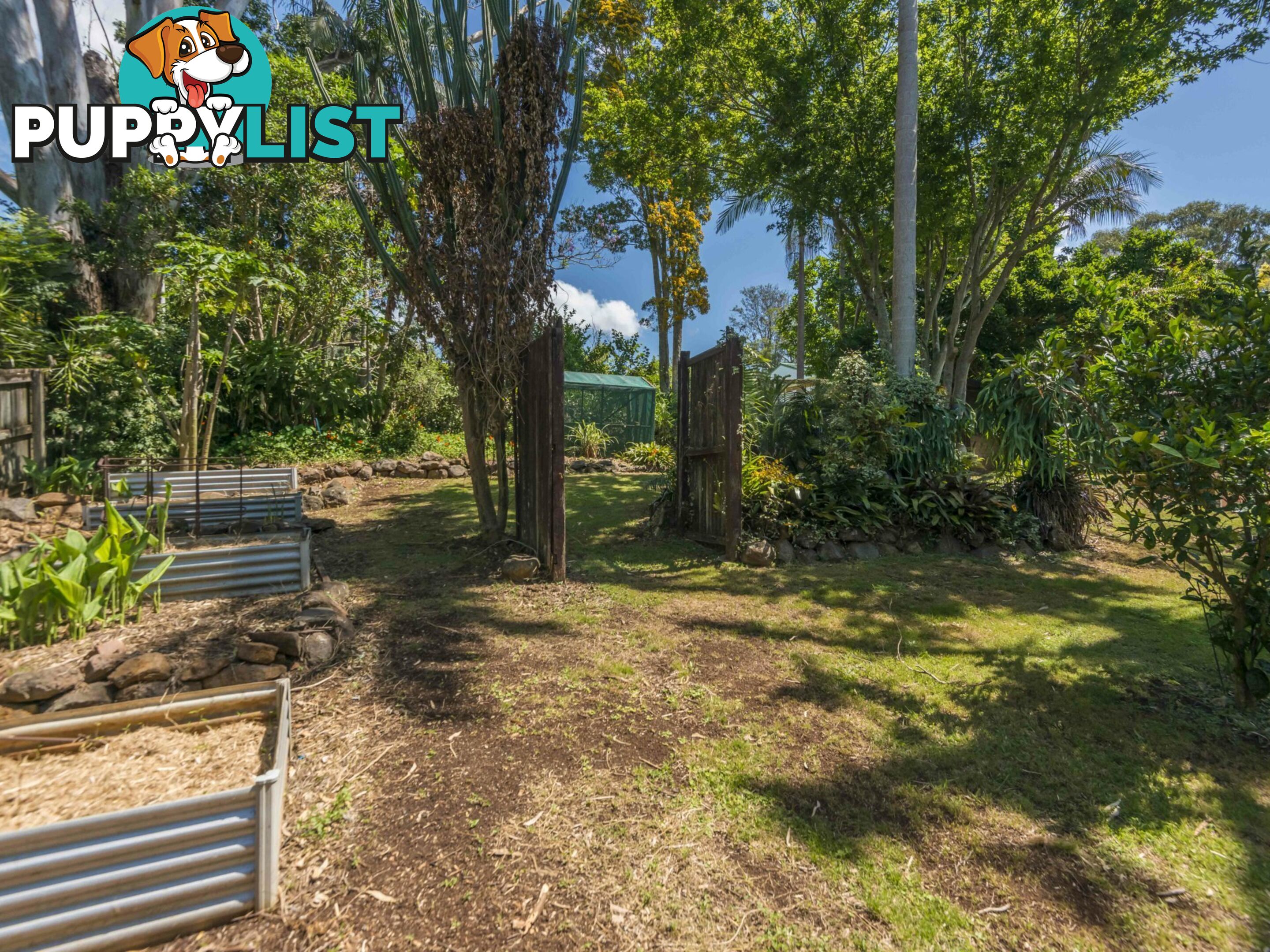 48 Jubilee Avenue GOONELLABAH NSW 2480