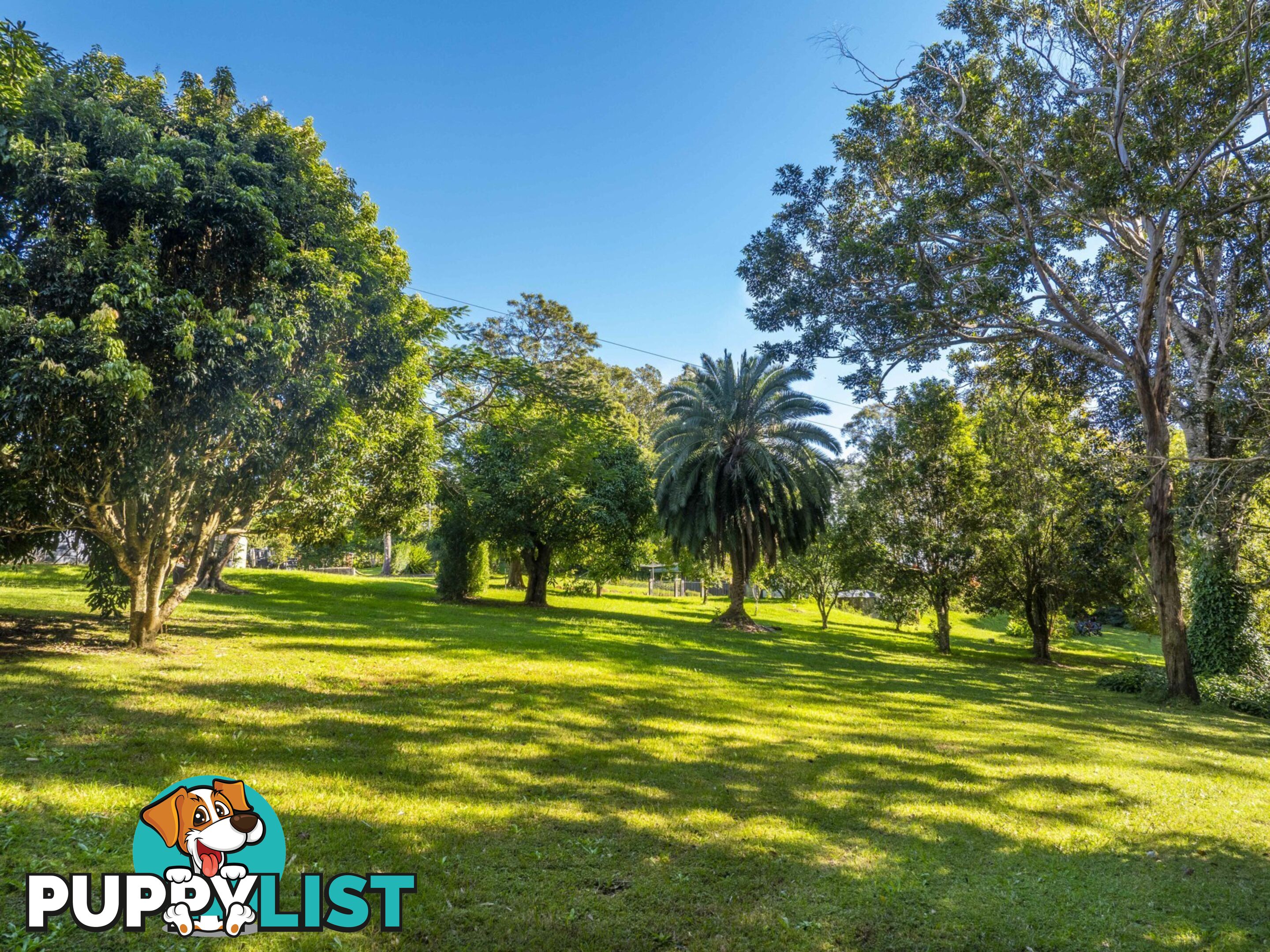 545 Humpty Back Road PEARCES CREEK NSW 2477