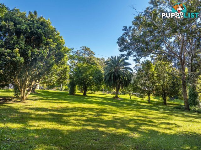 545 Humpty Back Road PEARCES CREEK NSW 2477