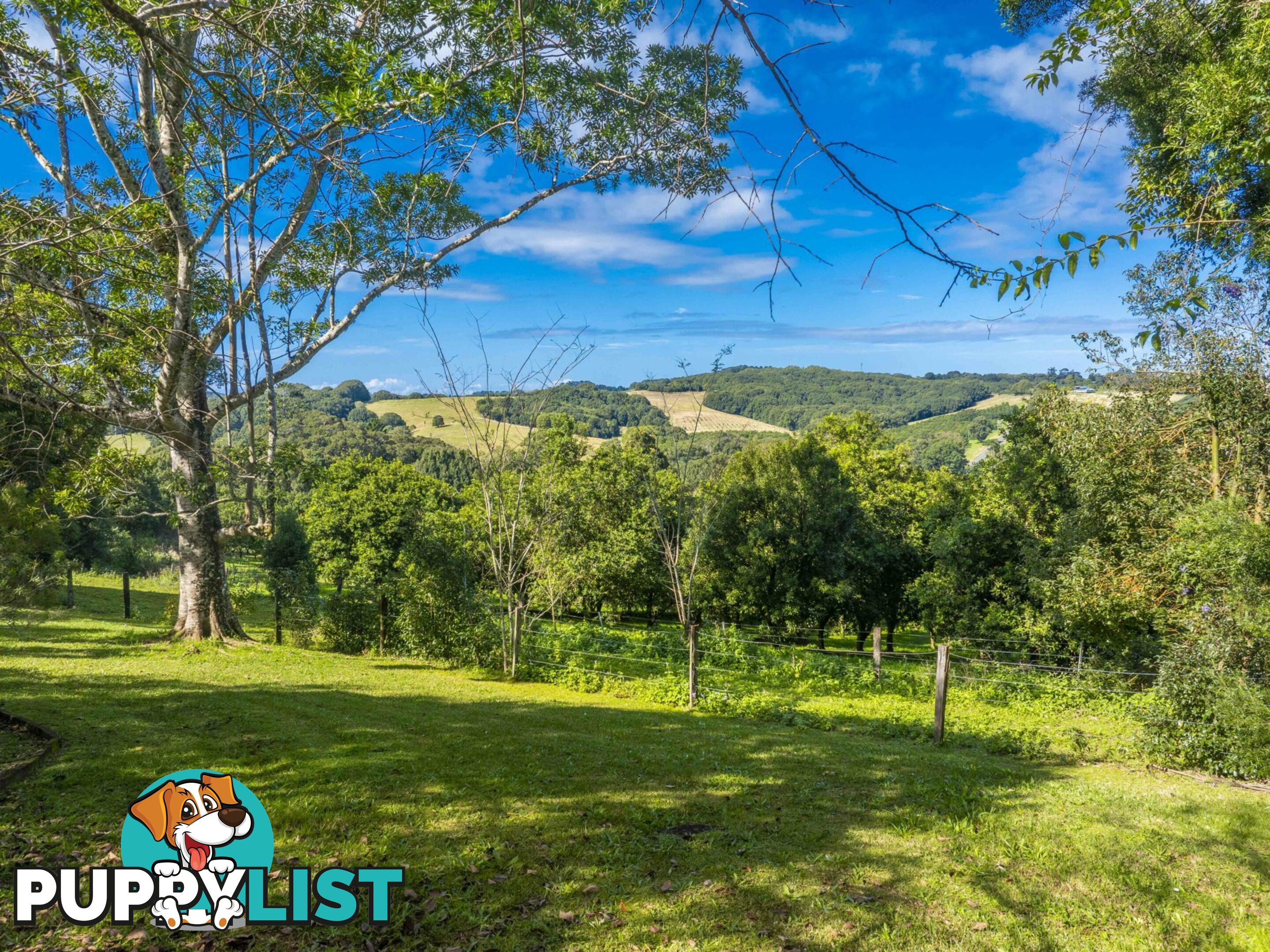 545 Humpty Back Road PEARCES CREEK NSW 2477