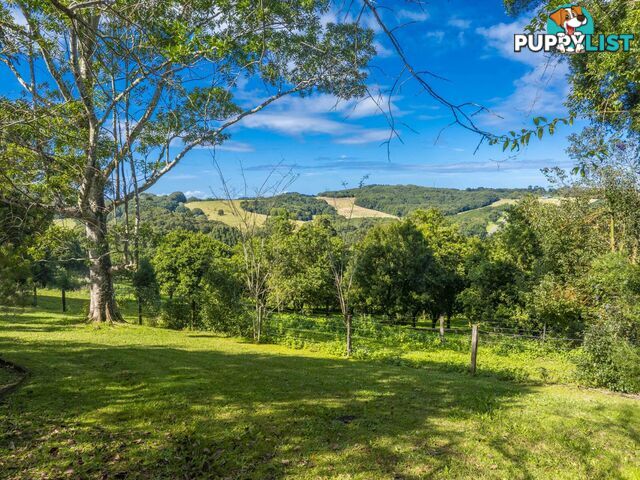 545 Humpty Back Road PEARCES CREEK NSW 2477