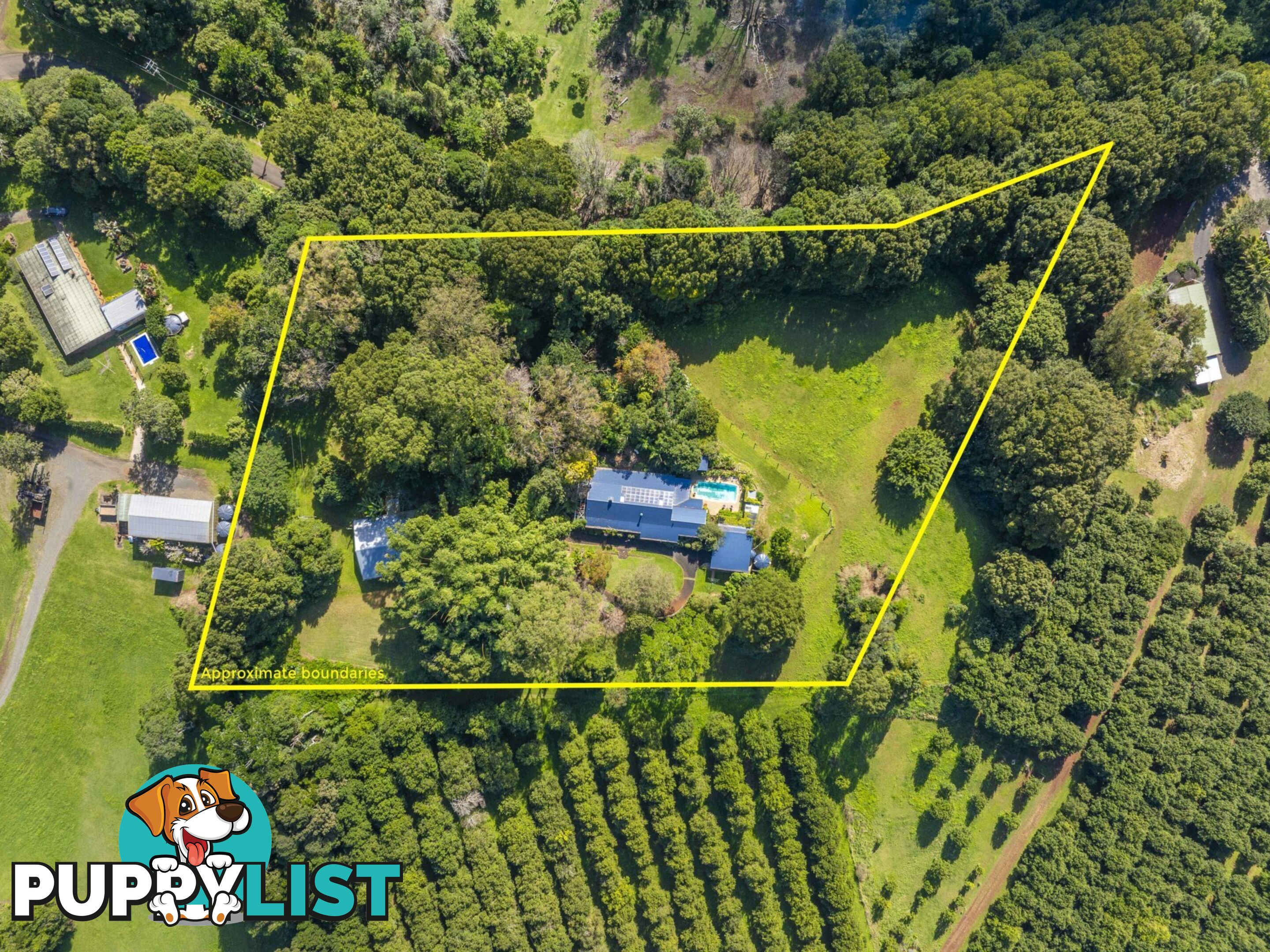 545 Humpty Back Road PEARCES CREEK NSW 2477