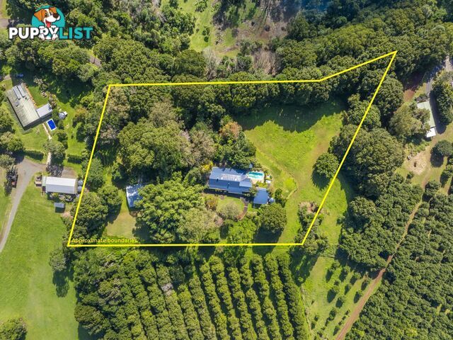 545 Humpty Back Road PEARCES CREEK NSW 2477
