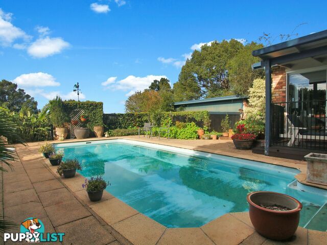545 Humpty Back Road PEARCES CREEK NSW 2477