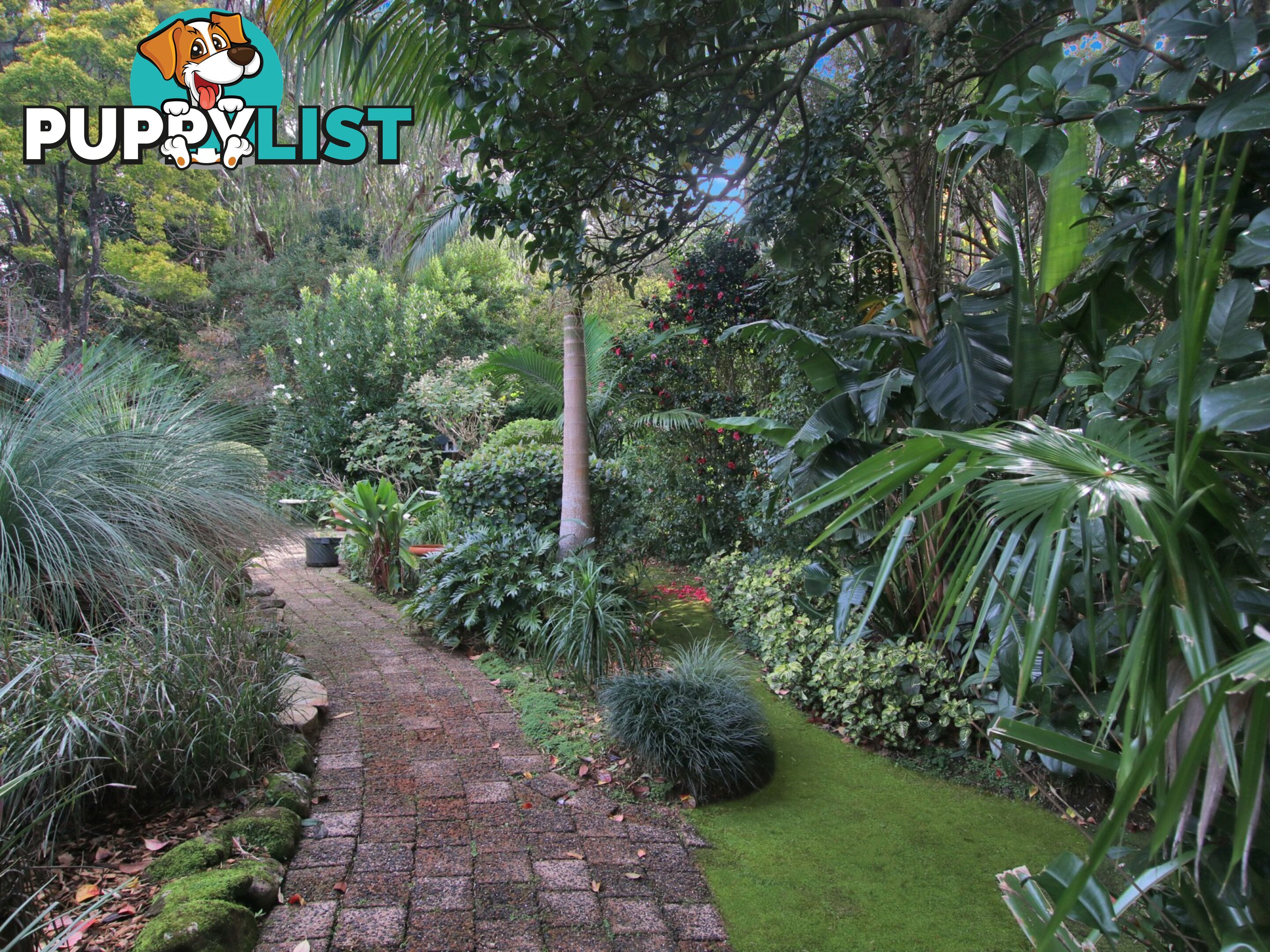545 Humpty Back Road PEARCES CREEK NSW 2477