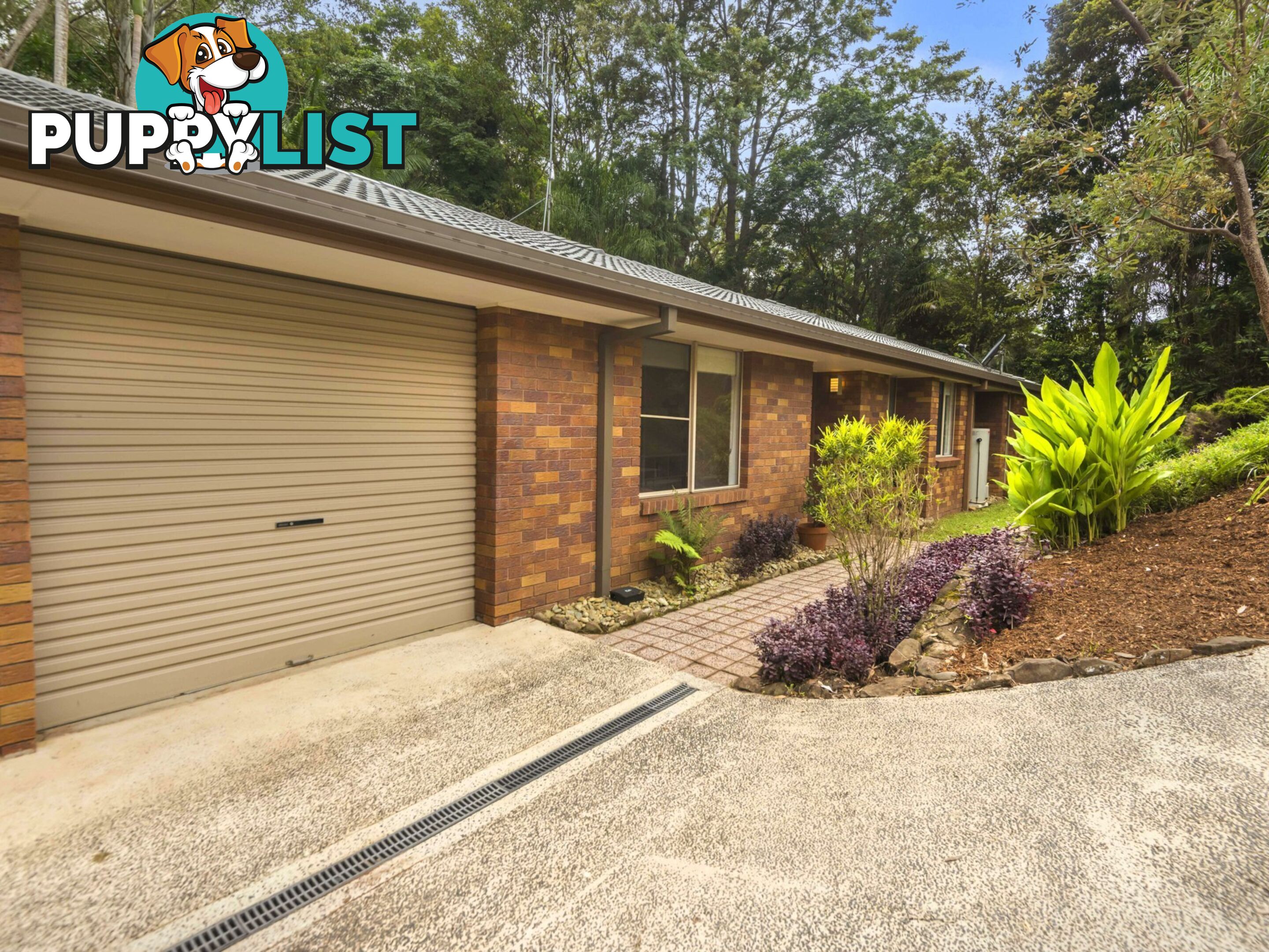 6 Coachwood Court ALSTONVILLE NSW 2477