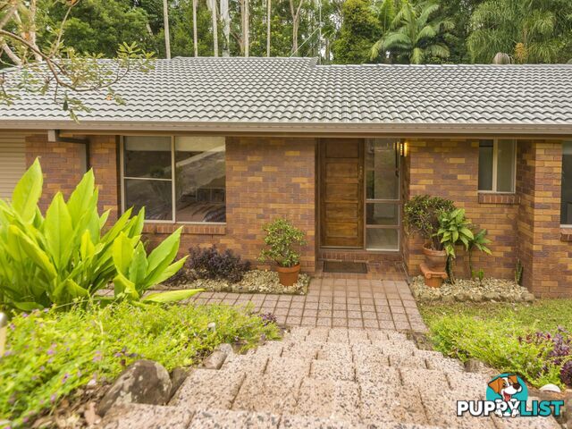 6 Coachwood Court ALSTONVILLE NSW 2477