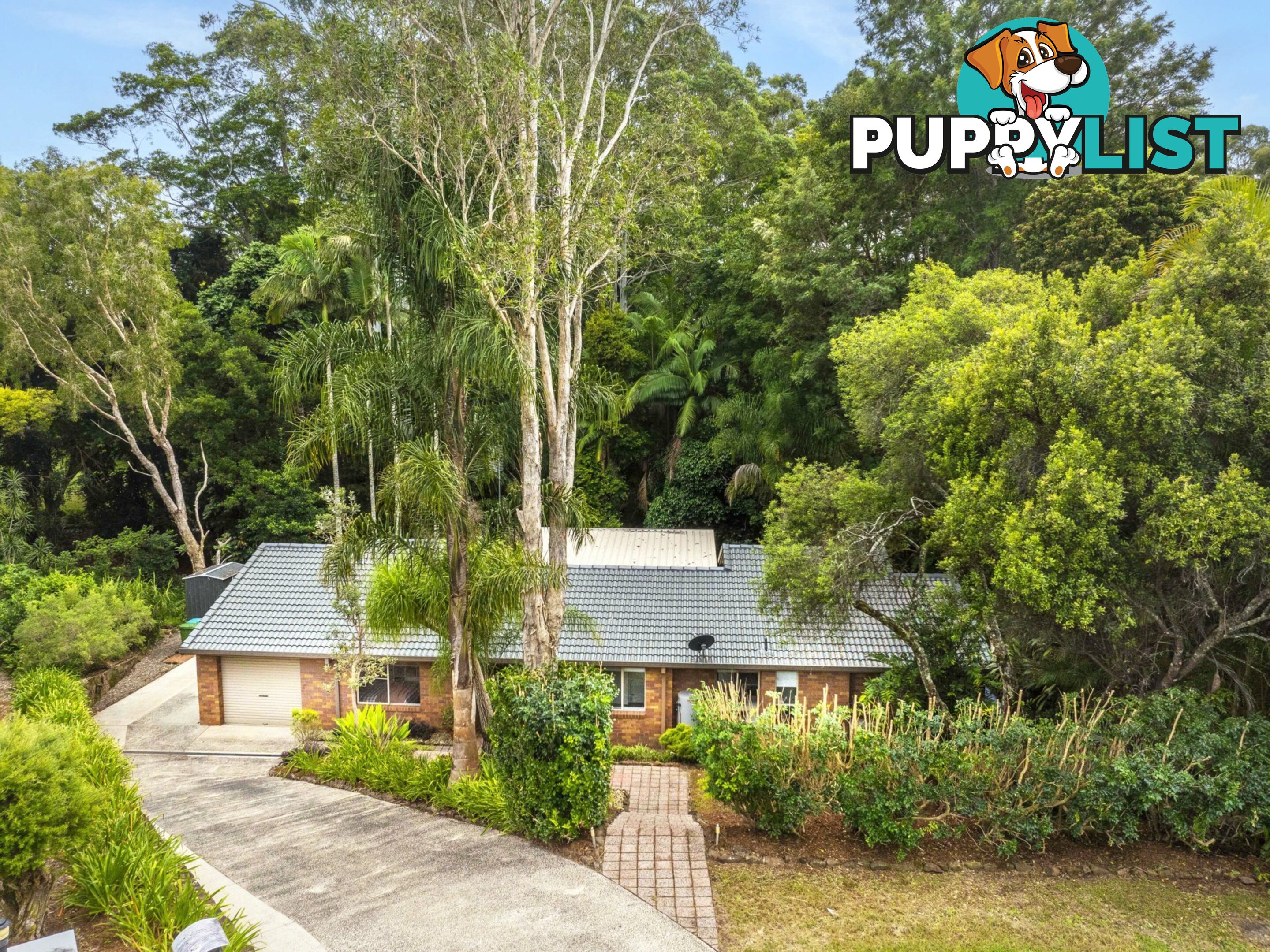 6 Coachwood Court ALSTONVILLE NSW 2477