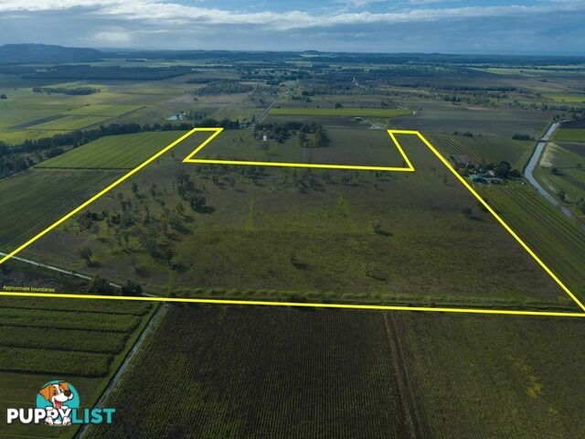 Lot 1/2383 Wyrallah Road EAST CORAKI NSW 2471