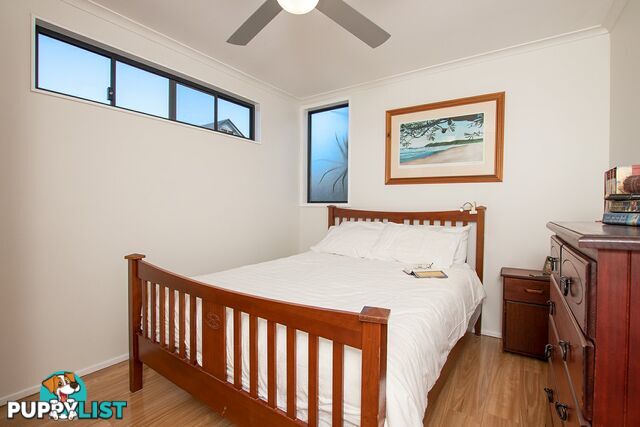 29b Green Street ALSTONVILLE NSW 2477