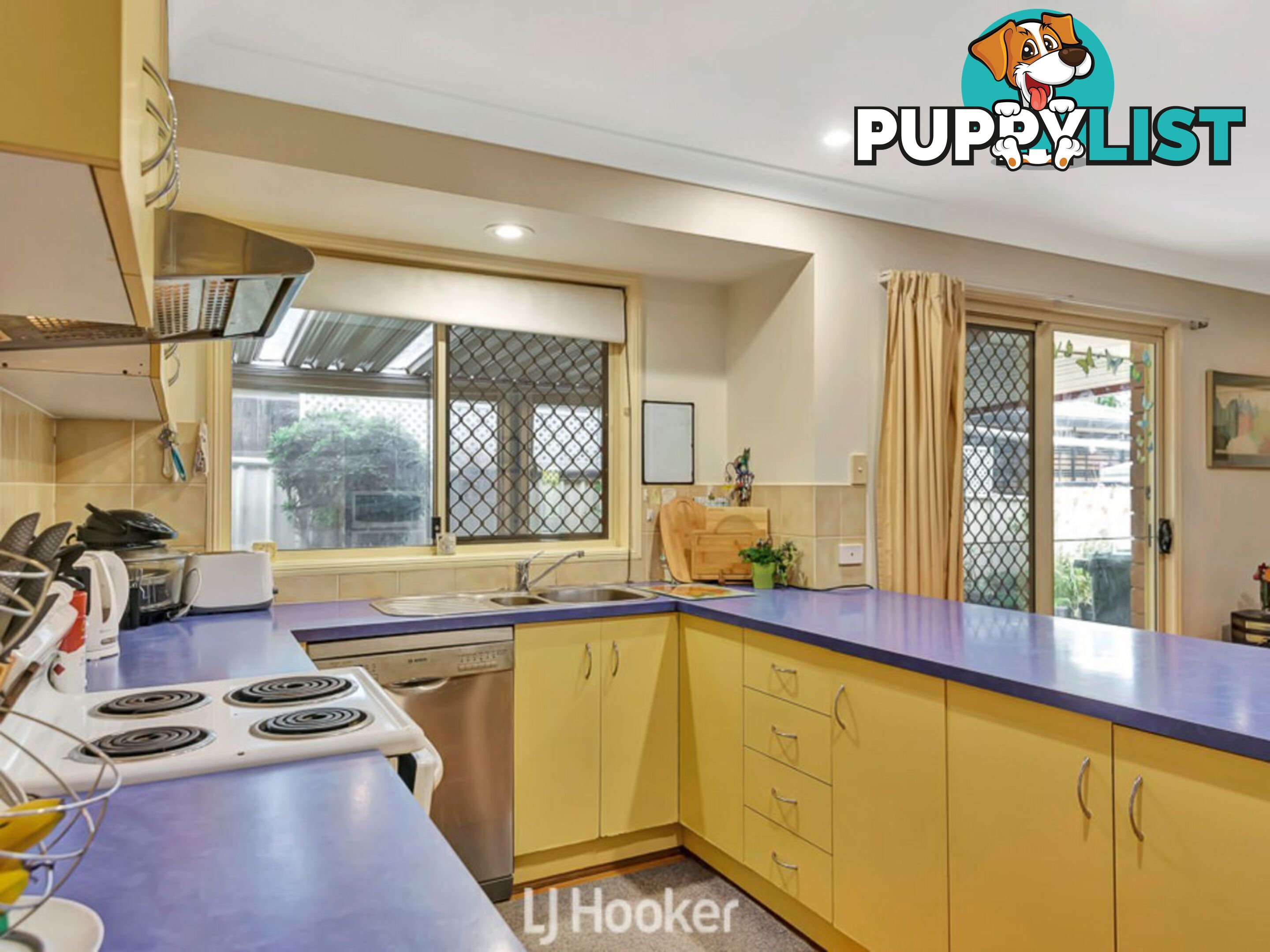 6 Hellyar Drive WOLLONGBAR NSW 2477