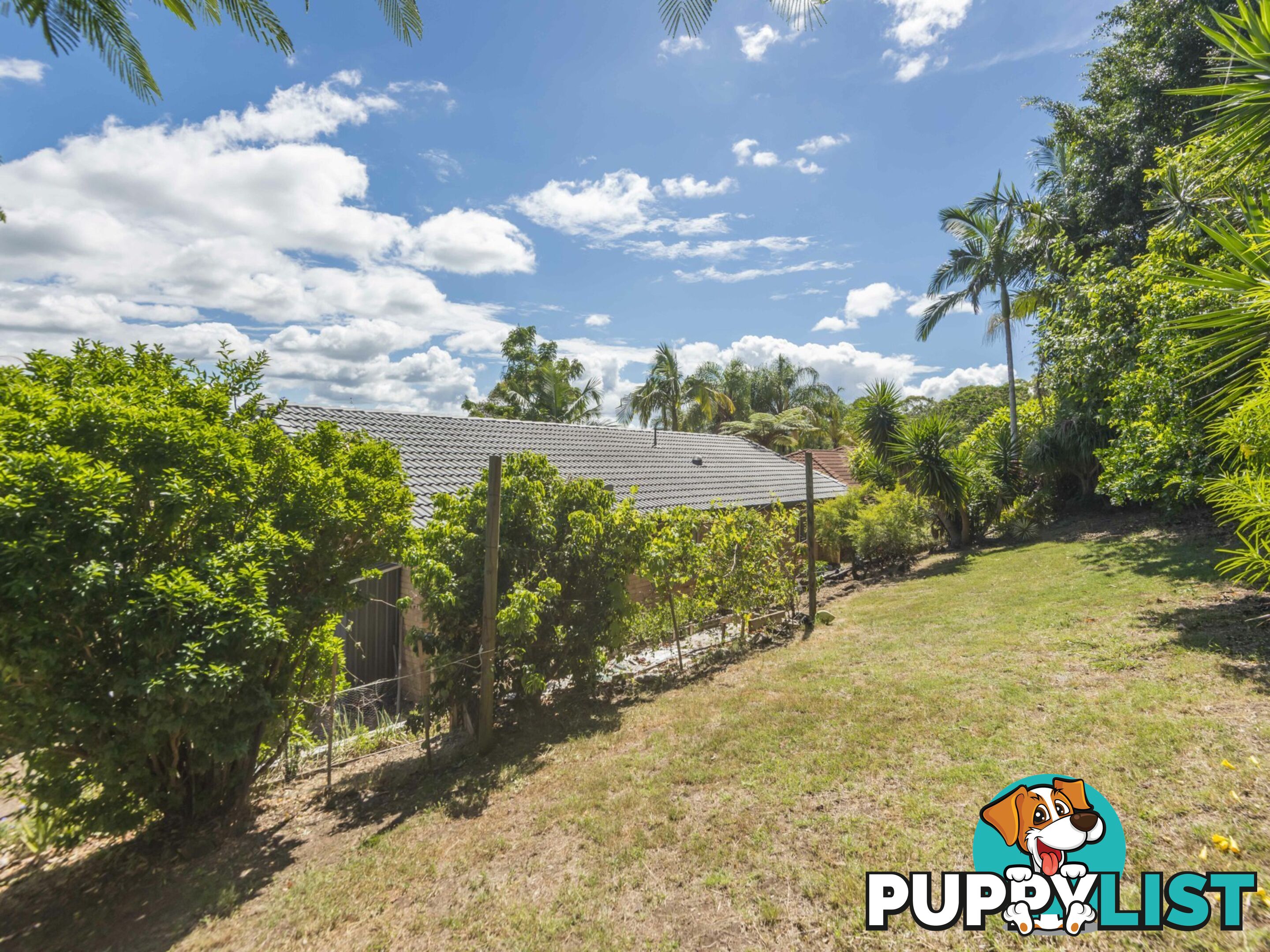 15 Mountain View Drive GOONELLABAH NSW 2480