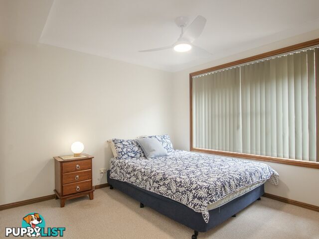 36 Adele Street ALSTONVILLE NSW 2477