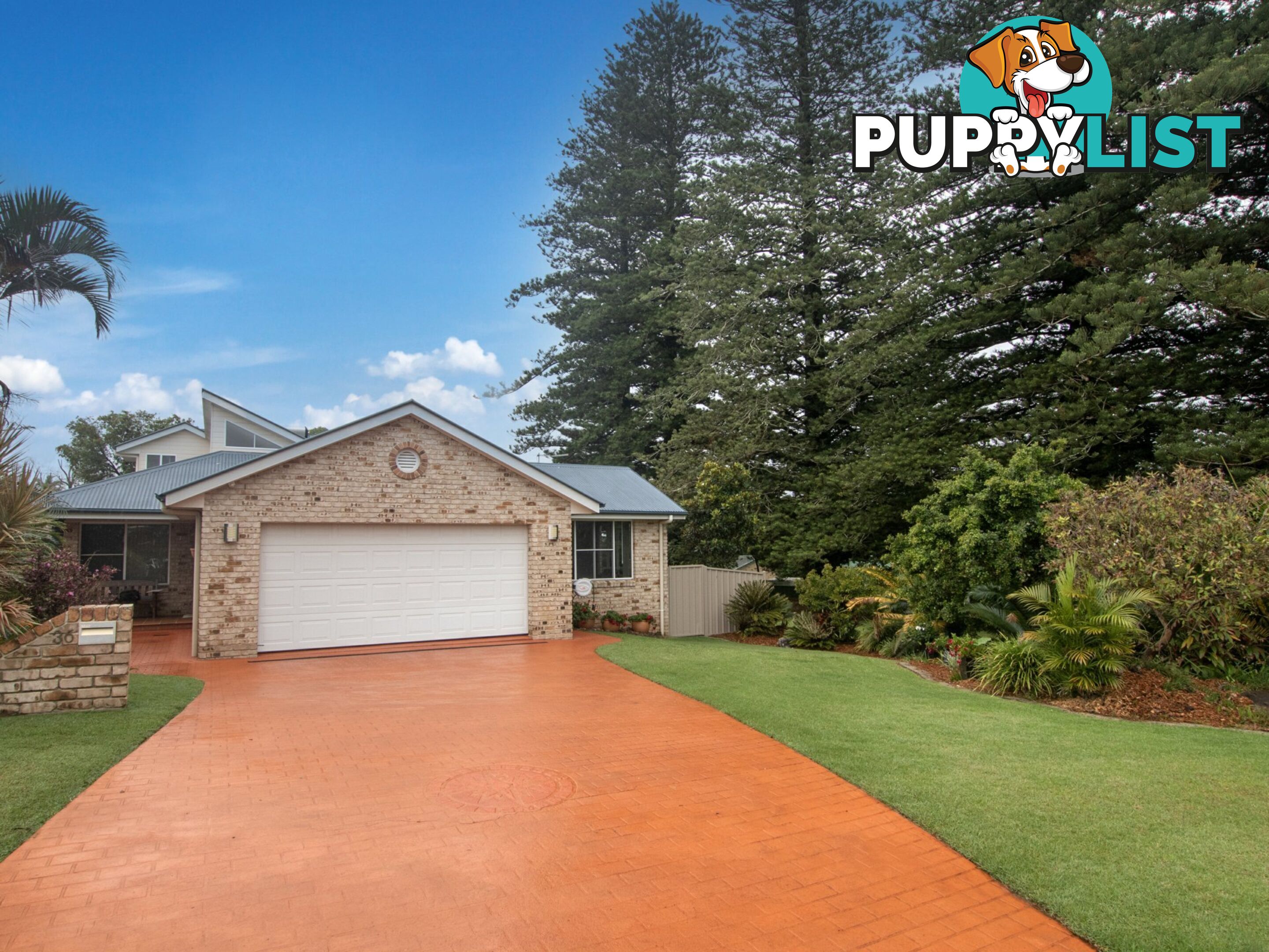 36 Adele Street ALSTONVILLE NSW 2477