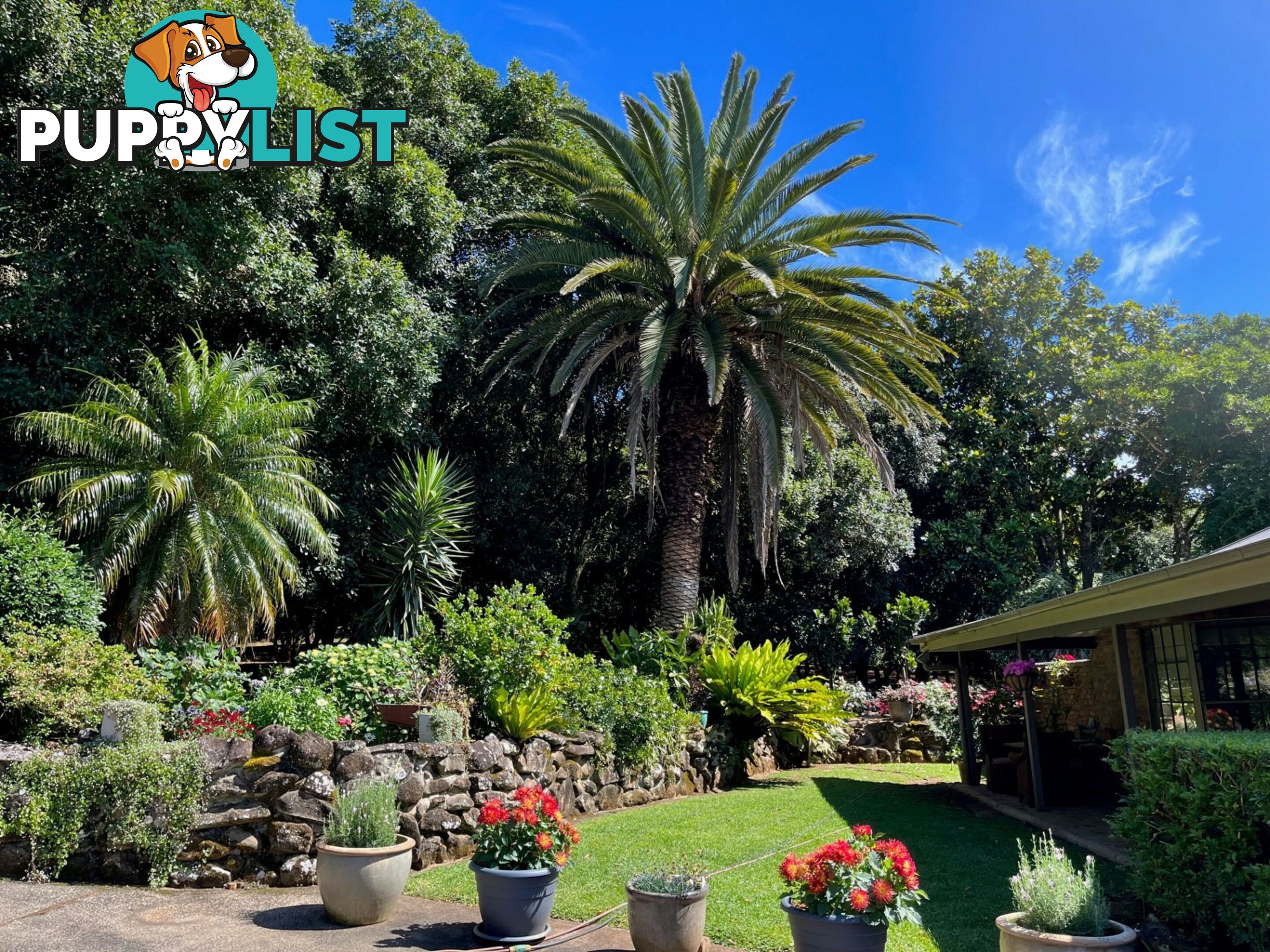 596 Pearces Creek Road ALSTONVALE NSW 2477