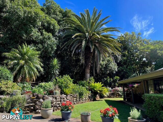 596 Pearces Creek Road ALSTONVALE NSW 2477