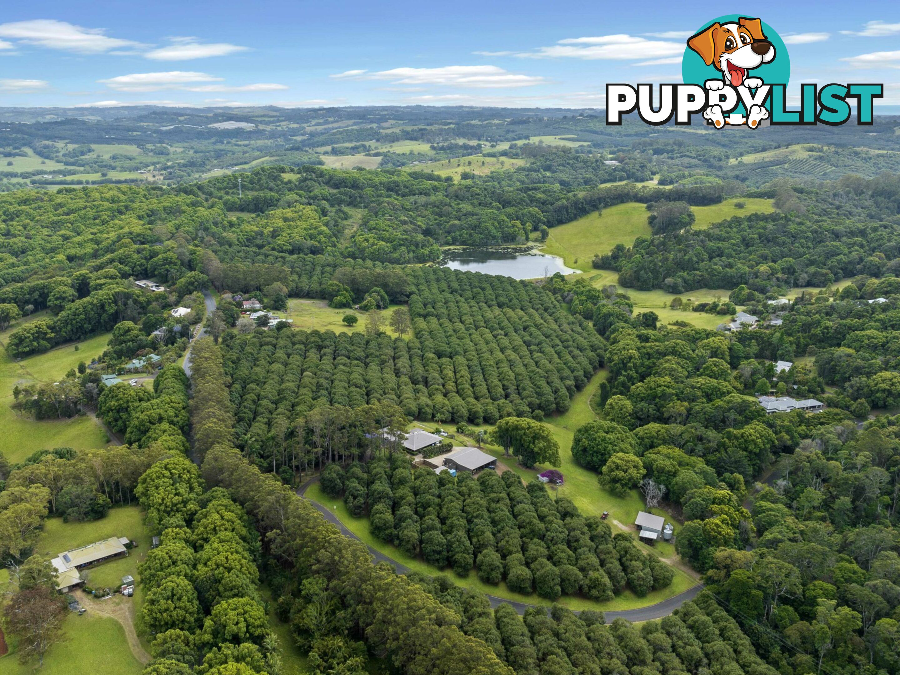 596 Pearces Creek Road ALSTONVALE NSW 2477