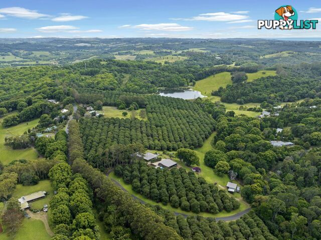 596 Pearces Creek Road ALSTONVALE NSW 2477