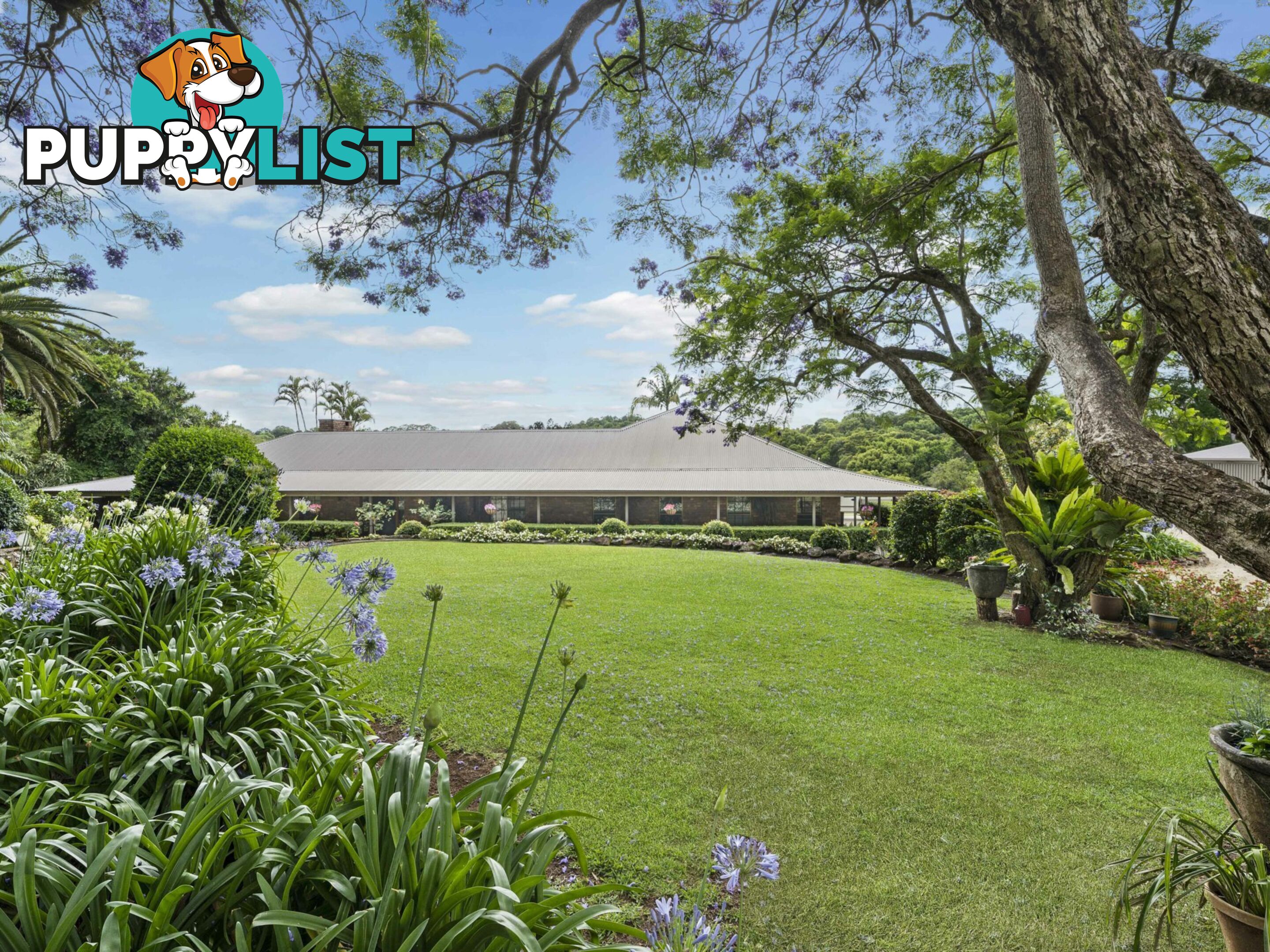 596 Pearces Creek Road ALSTONVALE NSW 2477