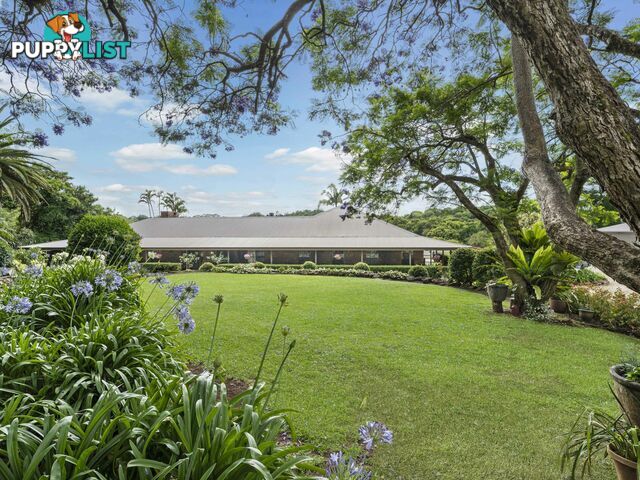 596 Pearces Creek Road ALSTONVALE NSW 2477