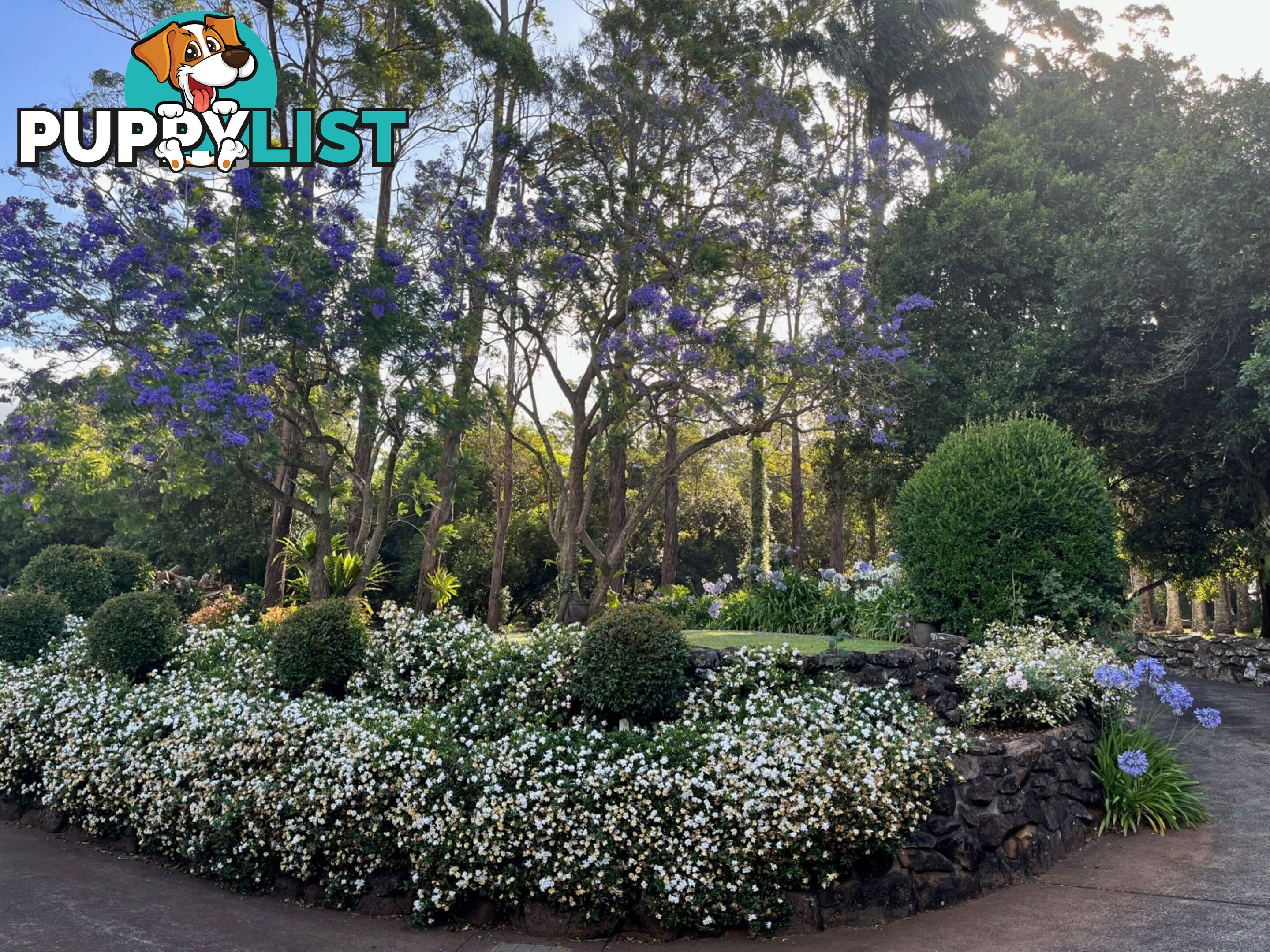 596 Pearces Creek Road ALSTONVALE NSW 2477