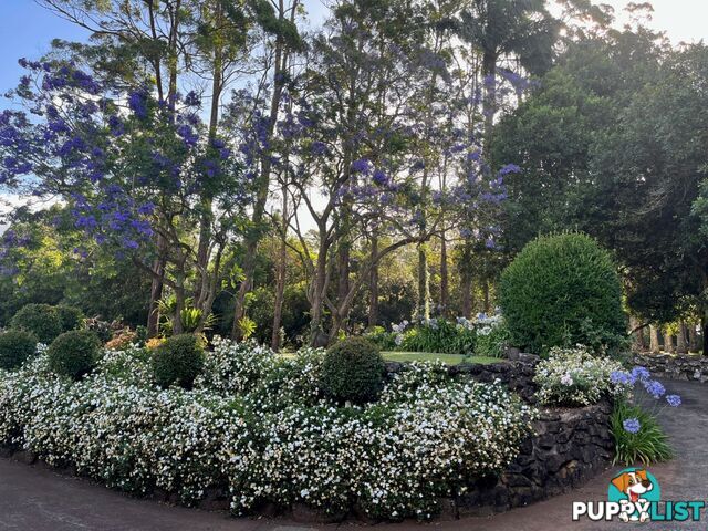 596 Pearces Creek Road ALSTONVALE NSW 2477