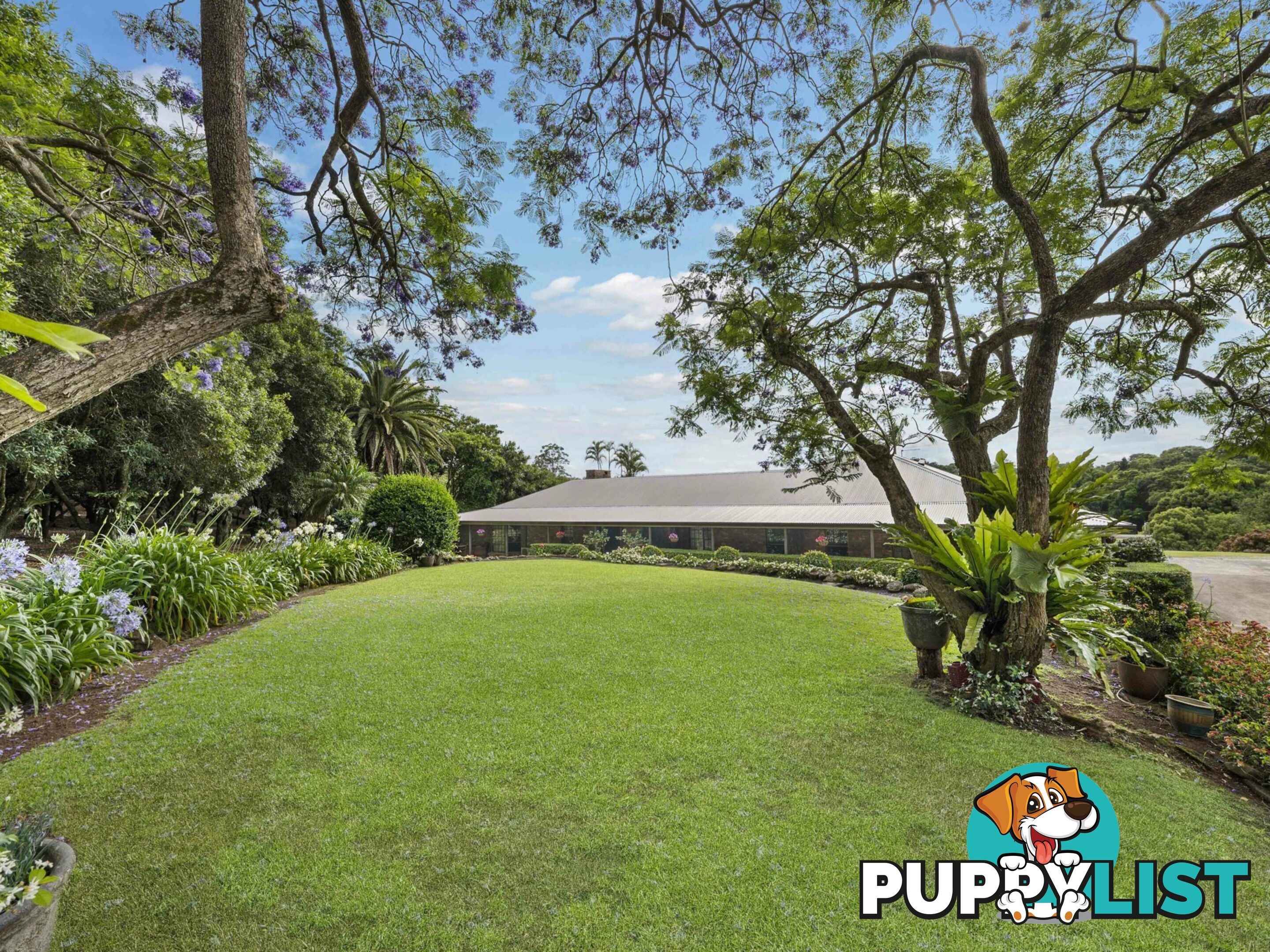 596 Pearces Creek Road ALSTONVALE NSW 2477