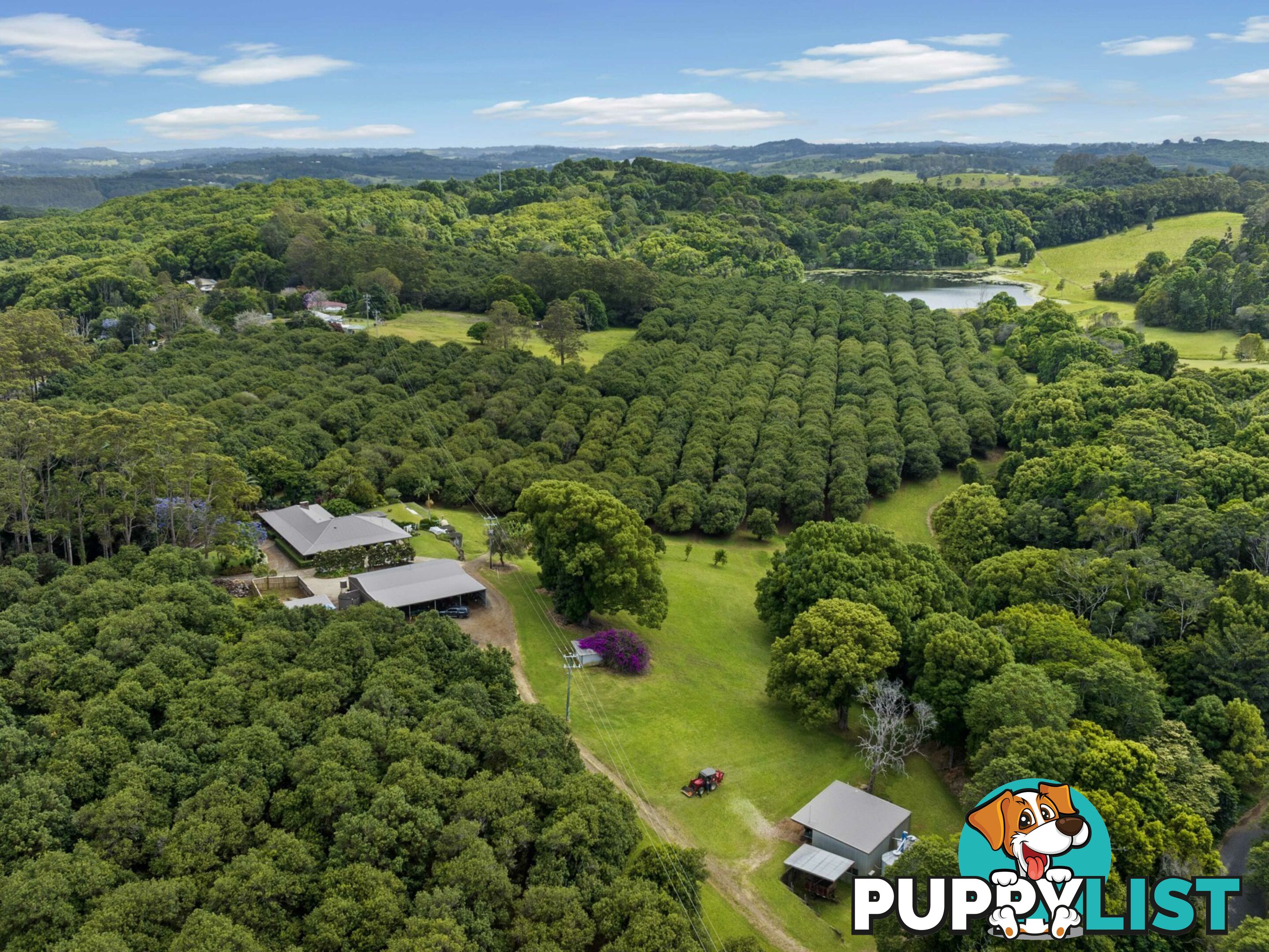 596 Pearces Creek Road ALSTONVALE NSW 2477