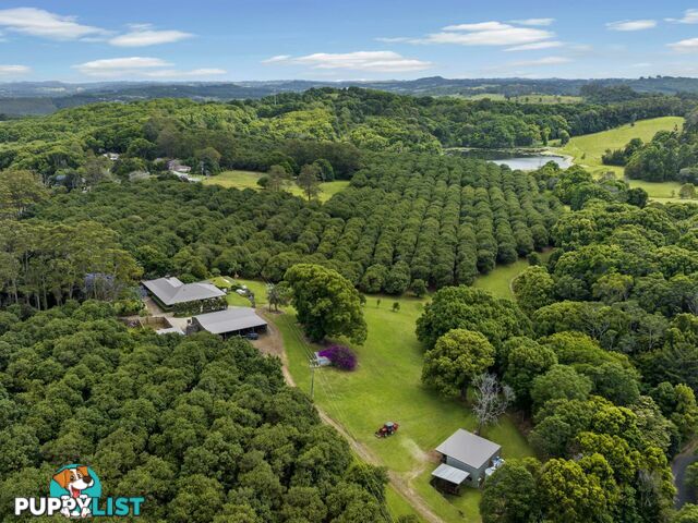 596 Pearces Creek Road ALSTONVALE NSW 2477