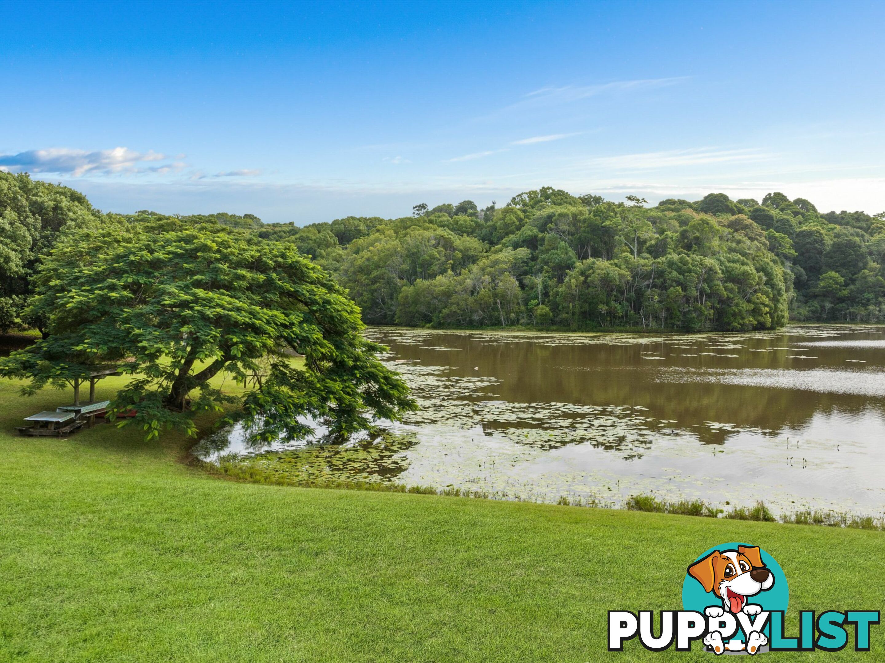 596 Pearces Creek Road ALSTONVALE NSW 2477
