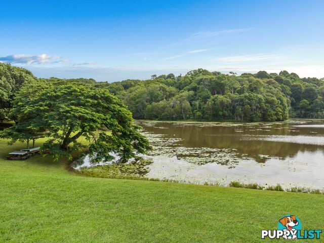 596 Pearces Creek Road ALSTONVALE NSW 2477
