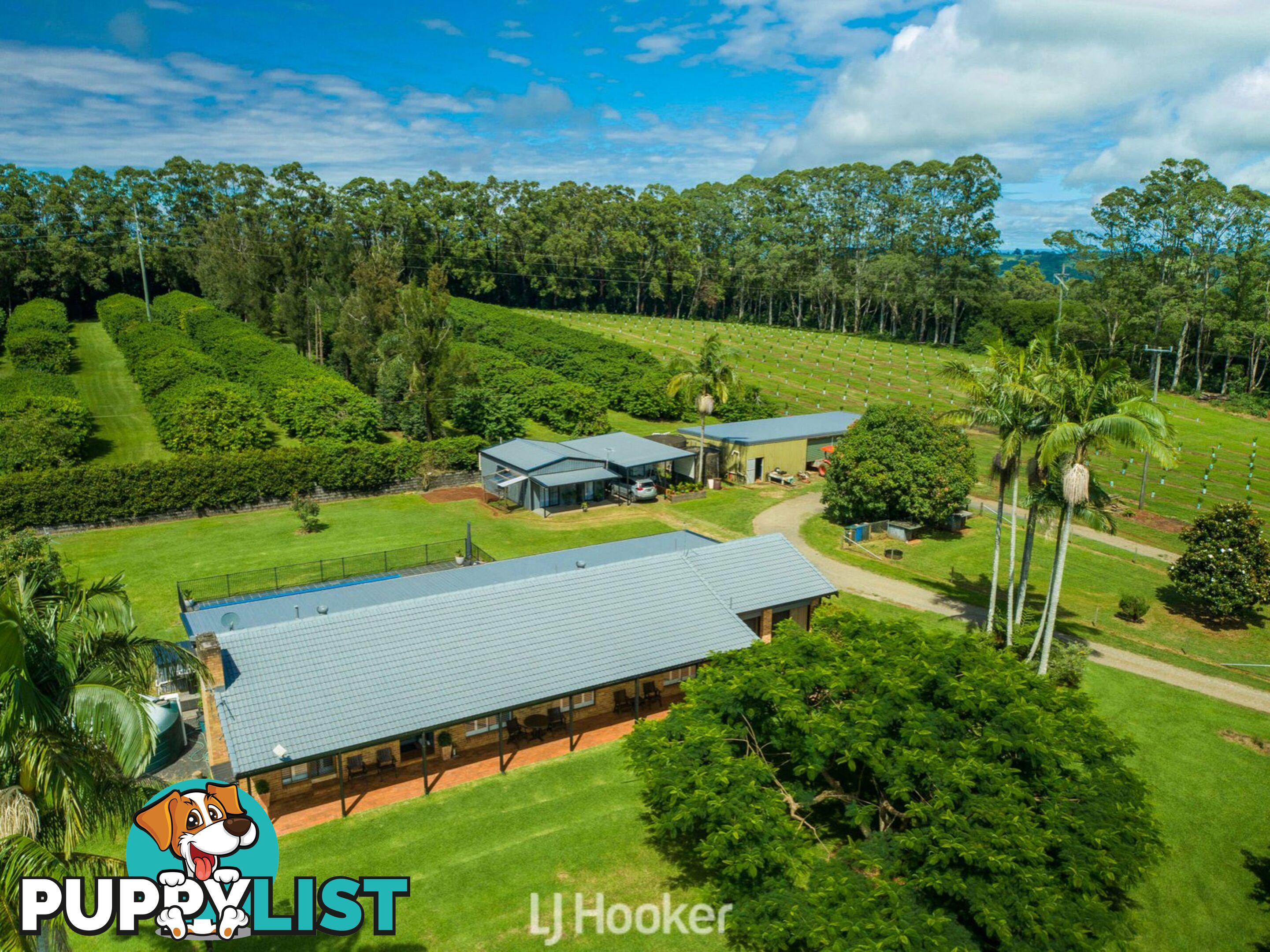 657 Ellis Road ROUS NSW 2477