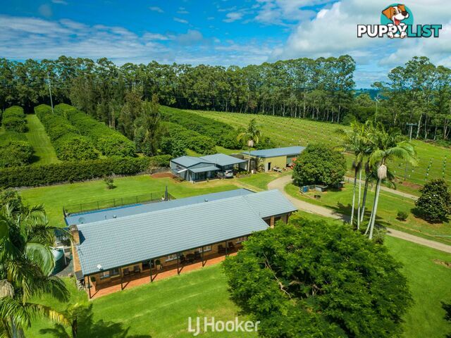 657 Ellis Road ROUS NSW 2477