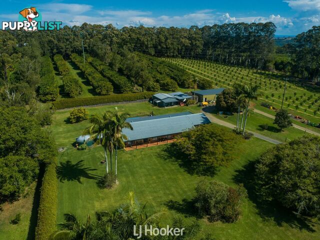 657 Ellis Road ROUS NSW 2477