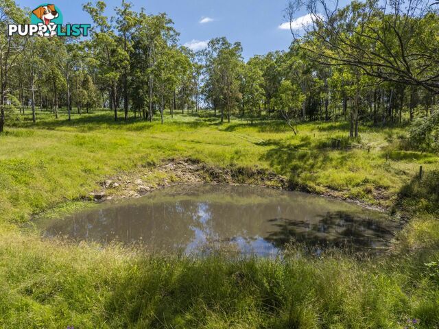 138 Bice Road LEYCESTER NSW 2480