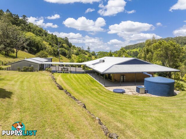 138 Bice Road LEYCESTER NSW 2480