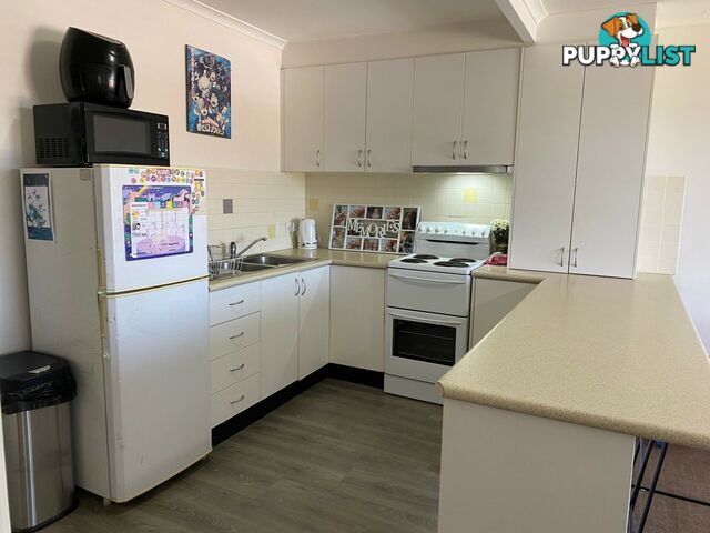 Unit 1/47 Fischer Street GOONELLABAH NSW 2480