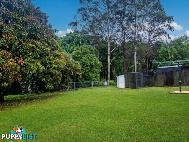 2 Amy Court GOONELLABAH NSW 2480