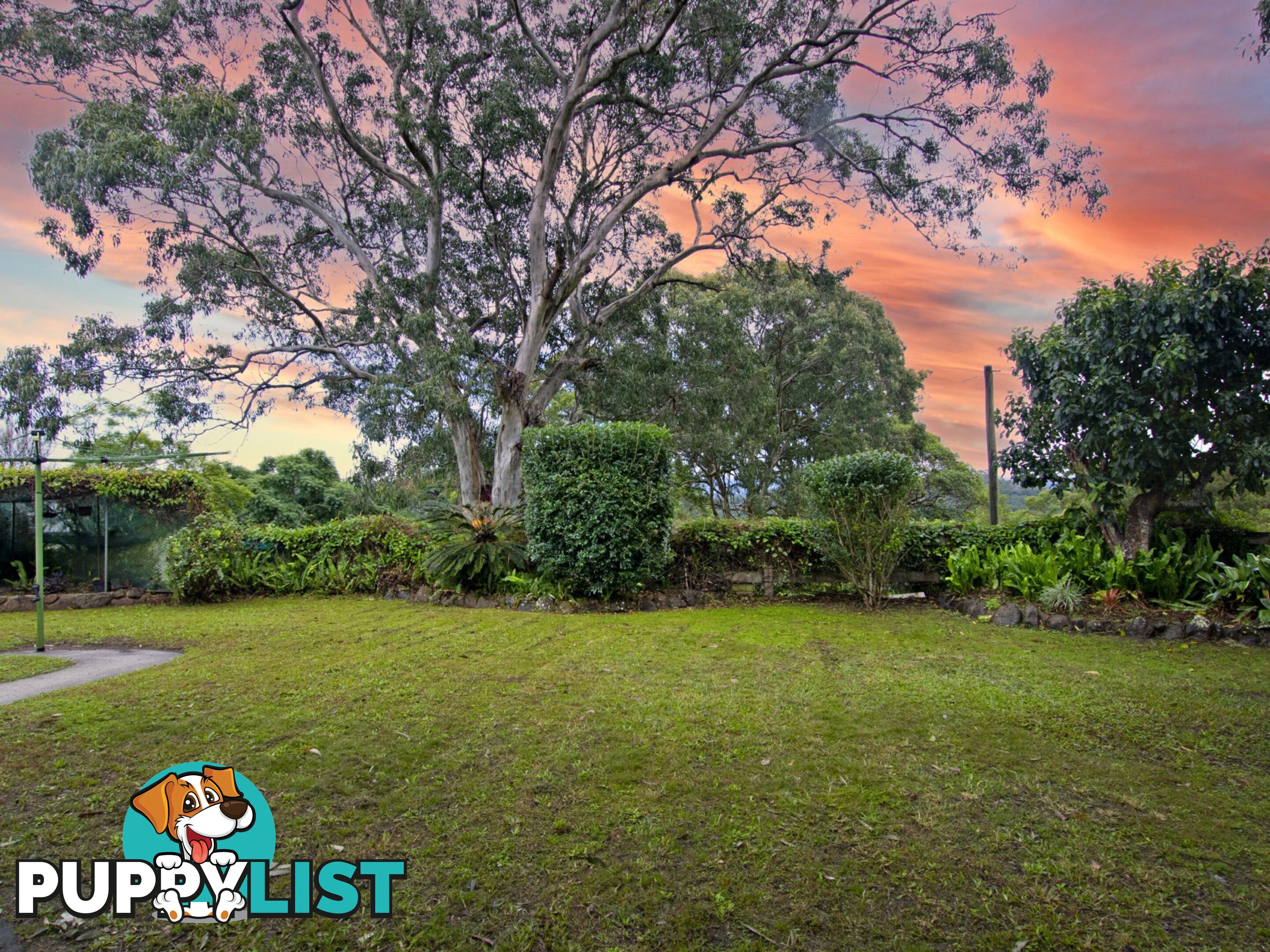 57 Invercauld Road GOONELLABAH NSW 2480