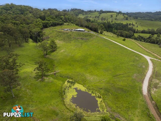 219 Henson Road WYRALLAH NSW 2480