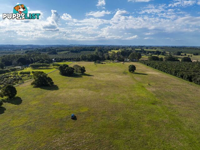 Lot 103/791329/251 Rous Road ROUS NSW 2477