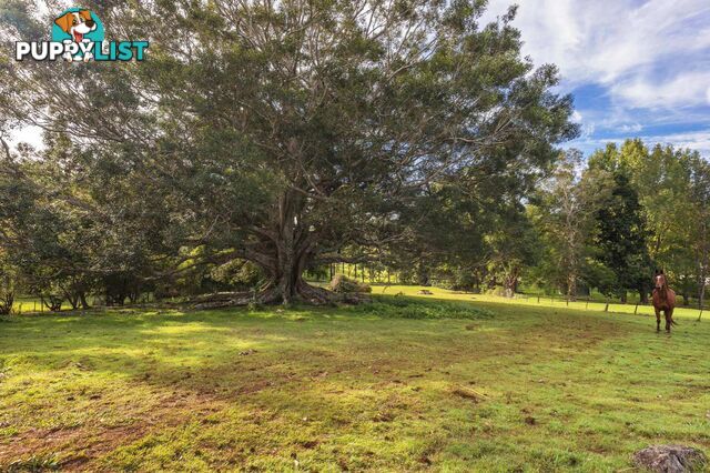 755 Houghlahans Creek Road PEARCES CREEK NSW 2477