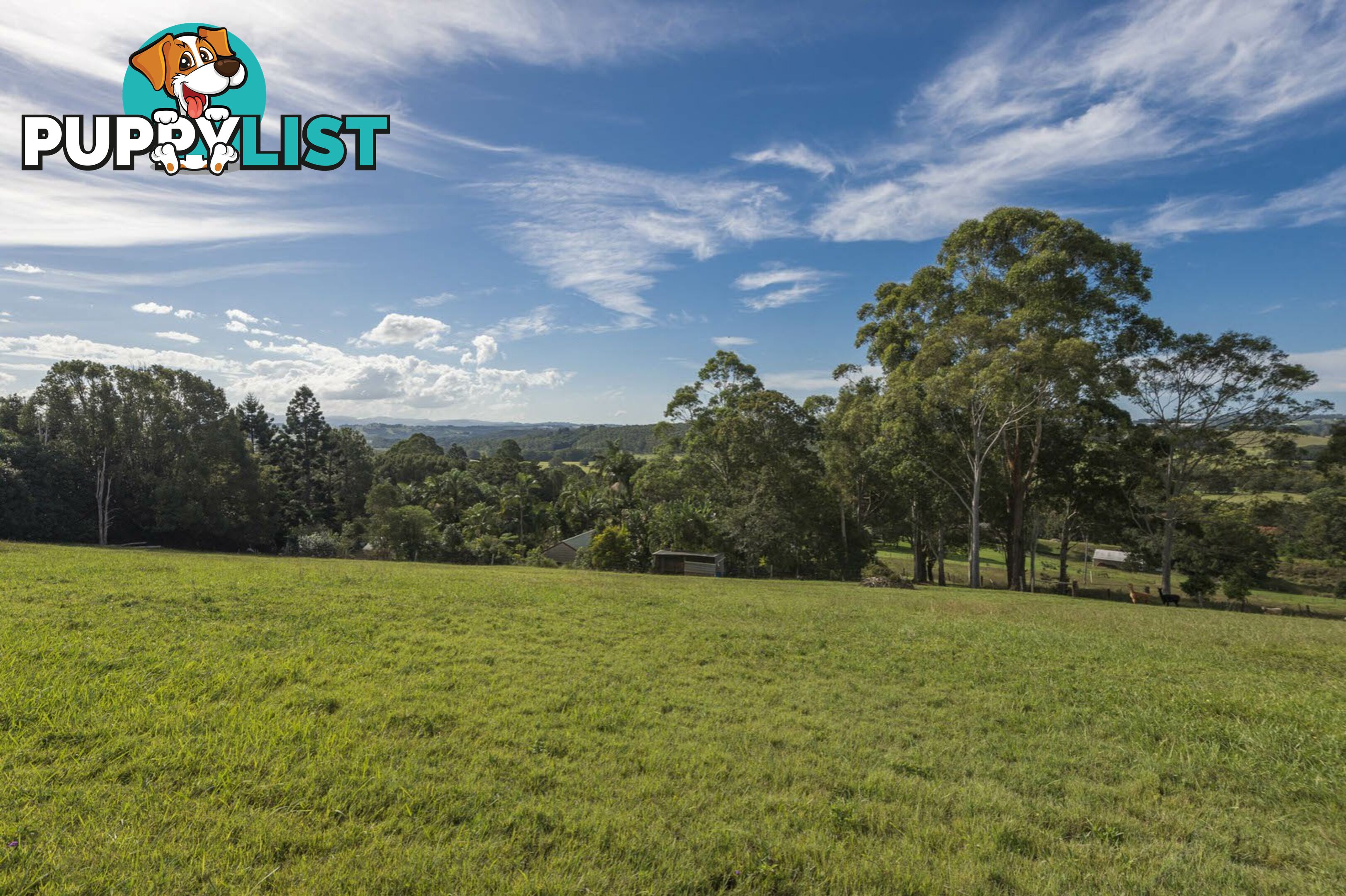 755 Houghlahans Creek Road PEARCES CREEK NSW 2477