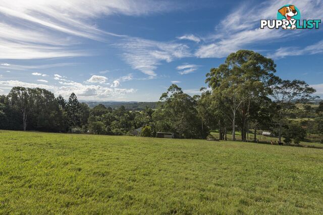 755 Houghlahans Creek Road PEARCES CREEK NSW 2477